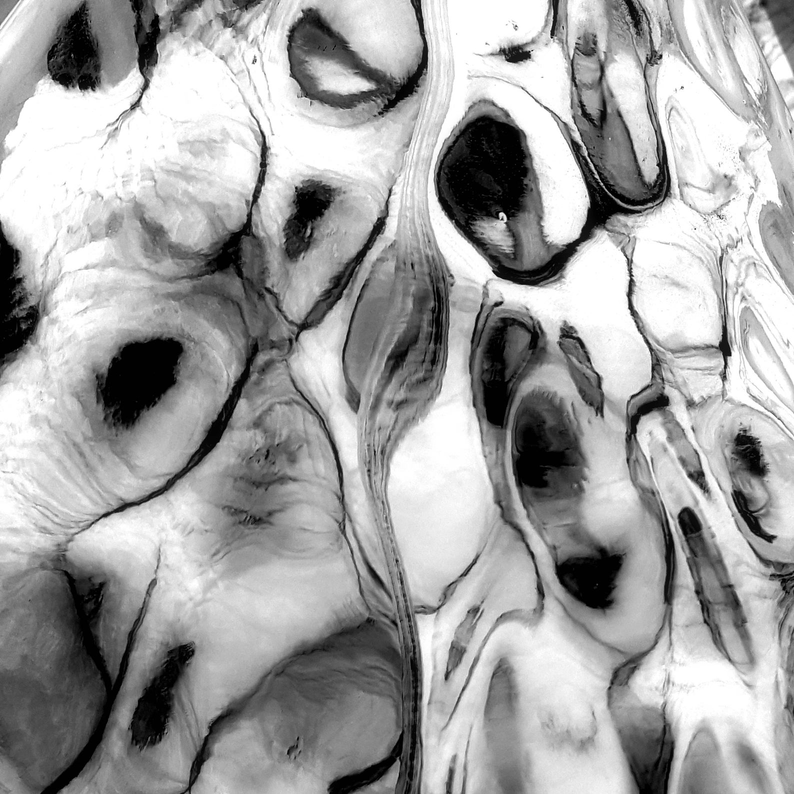 Topographic in Grayscale Pillow Cover 18x18 Decorative Etsy