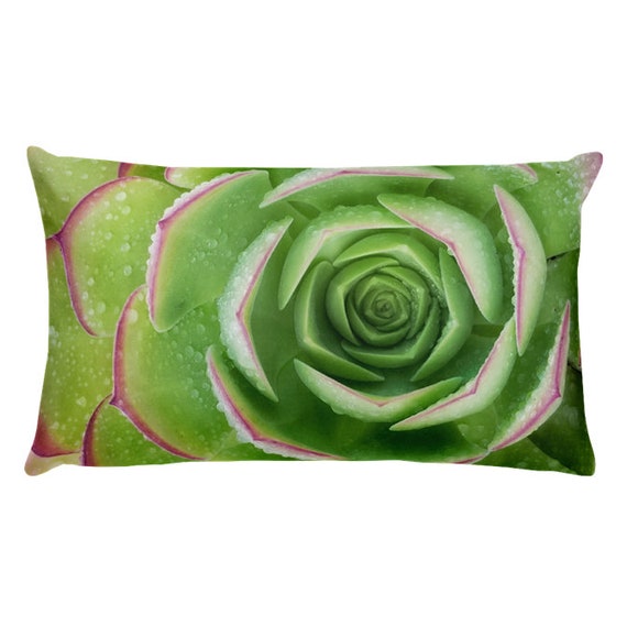 Succulent no. 4 pillow cover 12x20 Primrose Chorus pillow cover 18x18