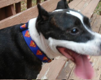 Super Hero Dog Collar