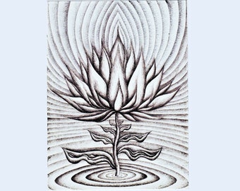 A Lotus Between, Print