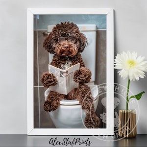 Può includere: Un cane marrone con gli occhiali è seduto su un water bianco e legge un giornale. Il cane è in un bagno con pareti bianche e una porta bianca. Il cane sta guardando la telecamera.