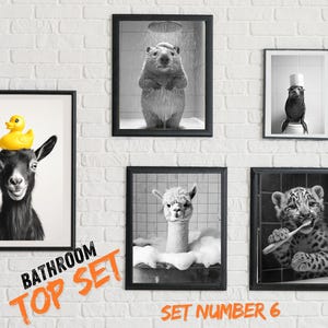 Funny Bathroom Wall Art, SET of 5, bathroom art Animal Photo Print, Animal on Toilet, Animals in Bath and in Bathrobe, Printable AI Art