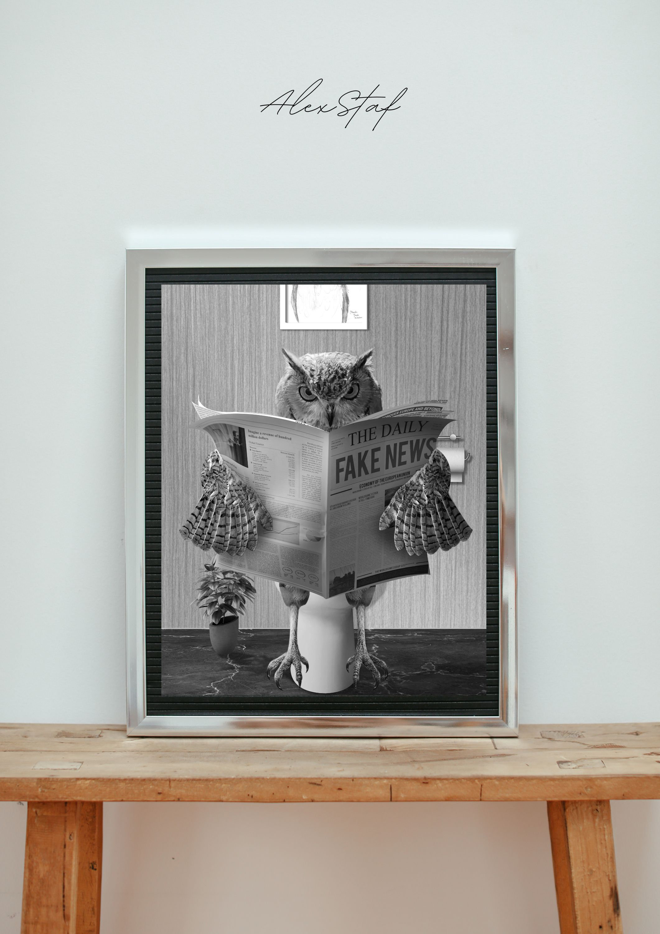 Owl Print, Funny Bathroom Art, Owl in Toilet, Toilet Owl, Owl in toilet, Black And White Owl, Whimsy