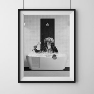 Chimpanzee in the Bathtub, A Chimpanzee having a bubble bath, Poster, Premium Quality Print
