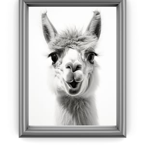 Alpacas, Alpaca Print, Nursery Wall Art, Digital Download, Black and White, Alpaca Wall Art, Alpaca Photo, Llama Print, Minimalist
