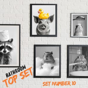 Animal on toilet,animals in bath,animals in bathrobe,animals toilet paper,Bathroom Decor ,black and white art,brushing teeth,funny animal