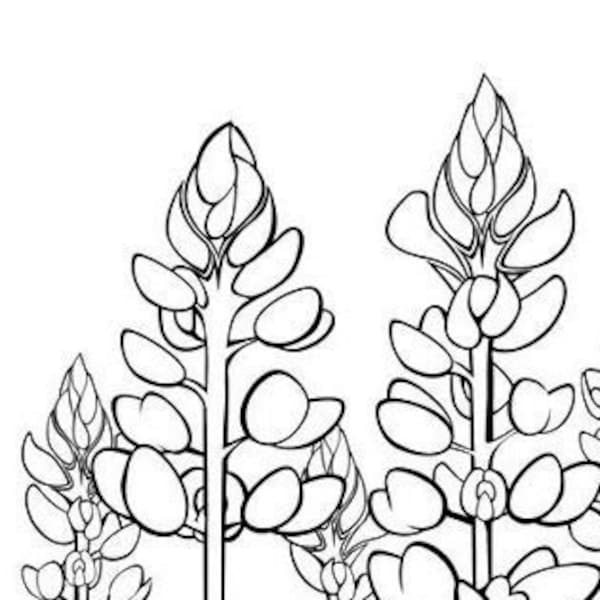 Texas Bluebonnets Coloring Sheet