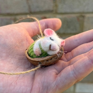 May include: A needle-felted white mouse with pink ears and a green sweater resting inside a brown walnut shell. The mouse has closed eyes and is attached to a thin tan twine string, creating a small hanging ornament or decorative figurine.