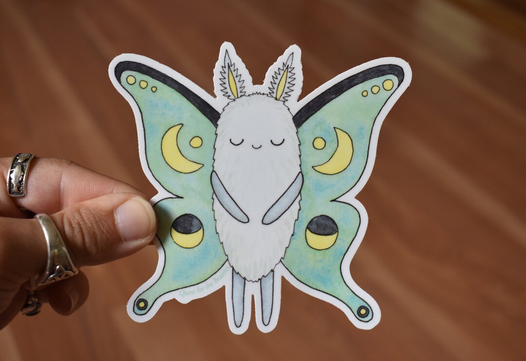 Moon Moth Sticker Luna Moth Vinyl Sticker, Mint Green Sleepy Moon Moth Decal - Etsy