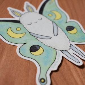 Moon Moth Sticker Luna Moth Vinyl Sticker, Mint Green Sleepy Moon Moth Decal - Etsy