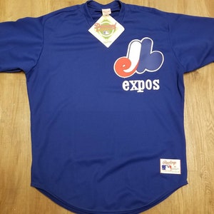 Men's Mitchell & Ness Pedro Martinez Blue Montreal Expos Cooperstown  Collection Mesh Batting Practice Button-Up Jersey 