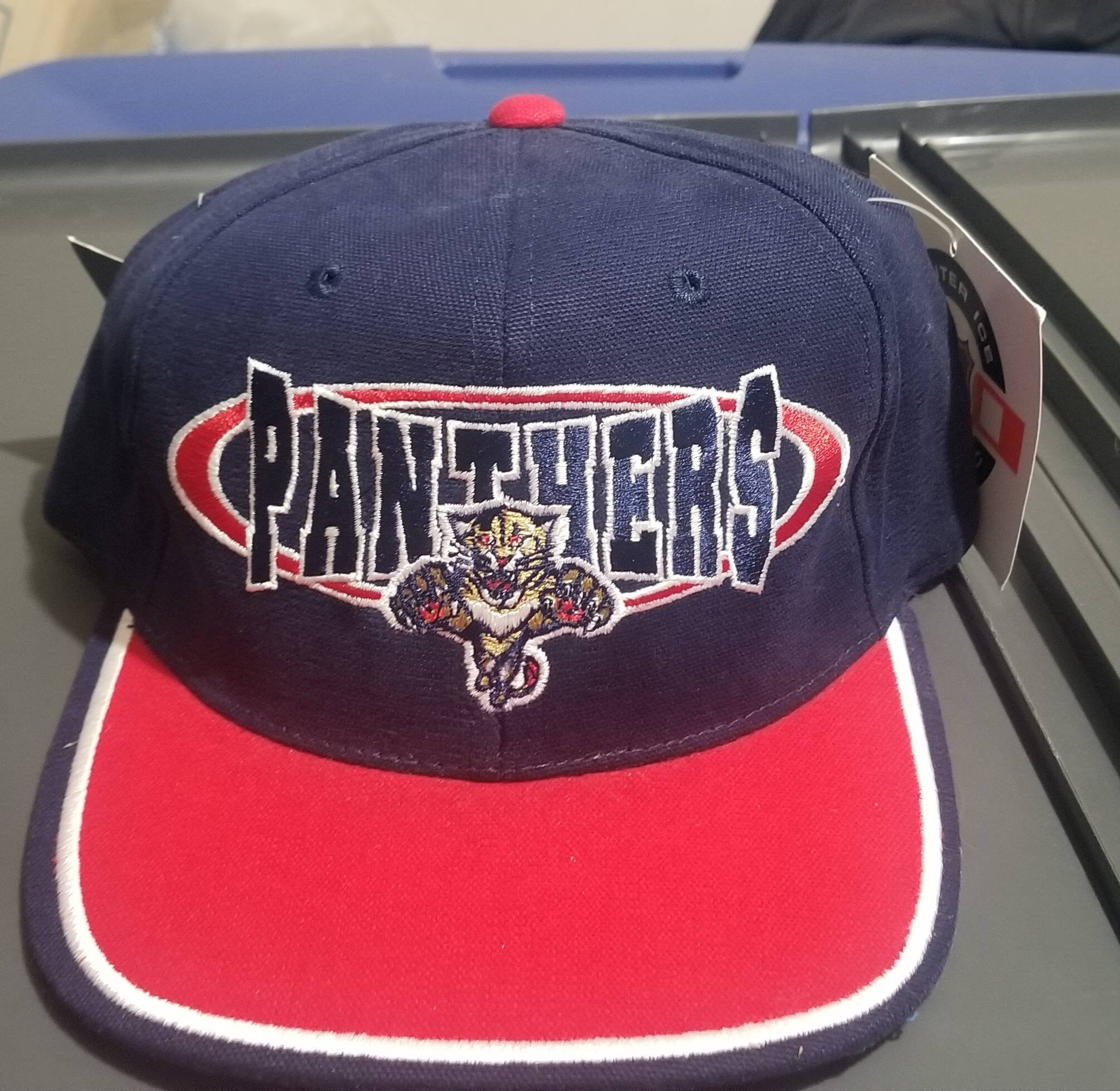 Vintage Florida Panthers Hat - Etsy