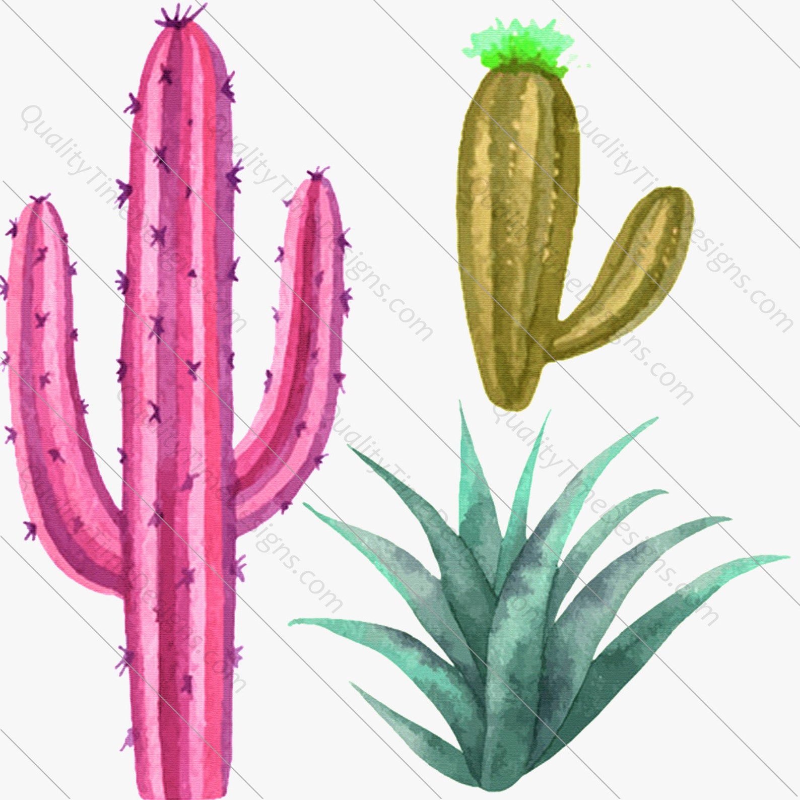 BOHO Watercolor Cactus Clipart BOHO Western Succulent Pack | Etsy