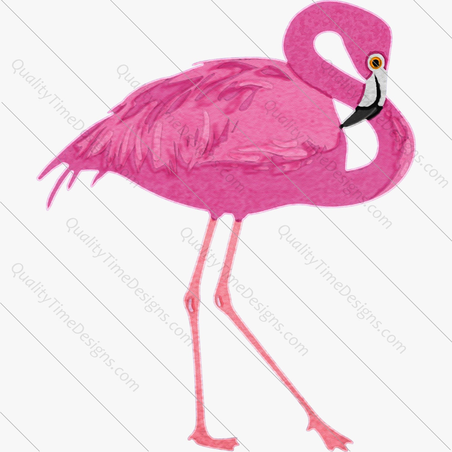 Watercolor Flamingo Set - 5 png images transparent background