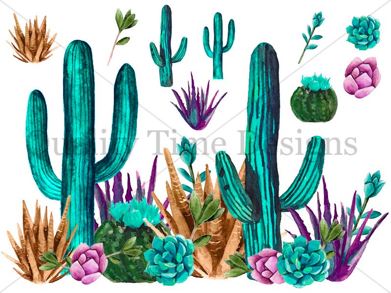 Turquoise Cactus BOHO Western Clipart Watercolor Succulents | Etsy