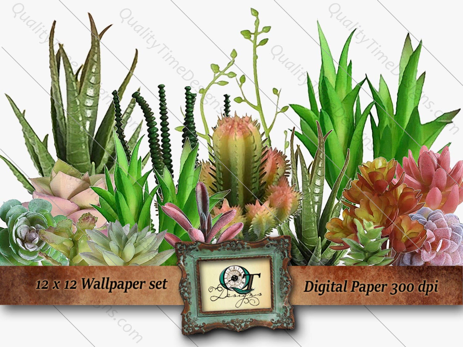 Transparent Succulent Watercolor Png - Best Succulent Ideas
