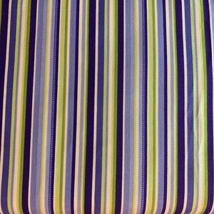 Botanical Blues  Fabric - blue stripe fabric - cotton fabric - quilting fabric - Northcott fabric