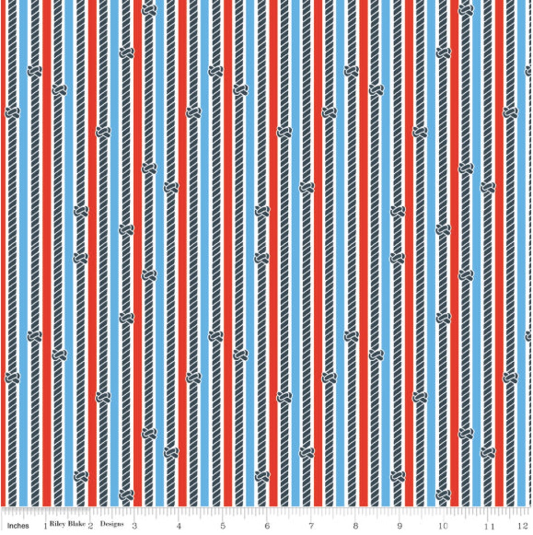Piraten Leben Stoff geschnitten Riley Blake Designs