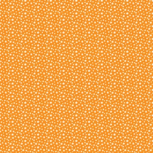 Baby Zoom - 1 Yard Cut - Northcott Studio - Quilting Fabric - Cotton Fabric - 21209-58