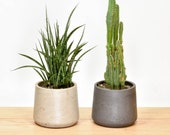 Concrete Pot, Modern Cement Planter, Indoor Outdoor Planter, Minimalist Plant Pot