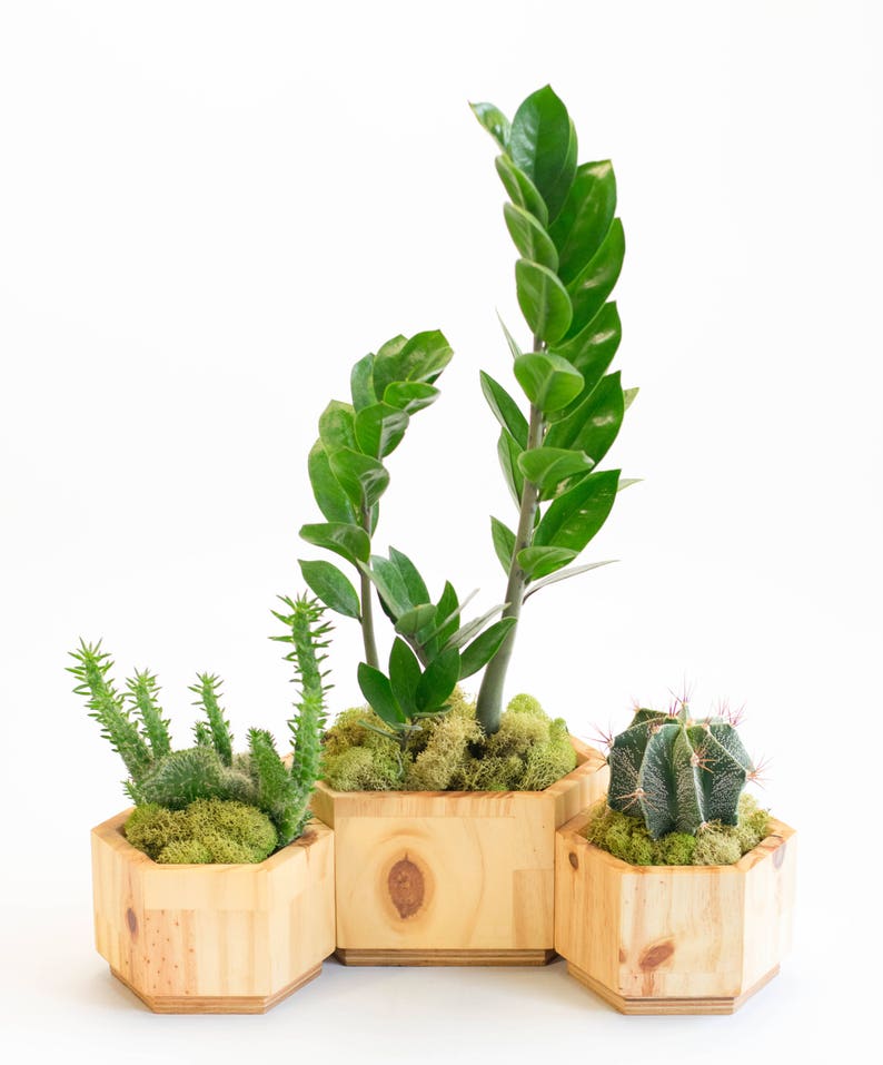 Geometric Wooden Planter Set Modern Planter Set for Succulent Modern Planter Pot Modern Planter Small Planter with Drainage