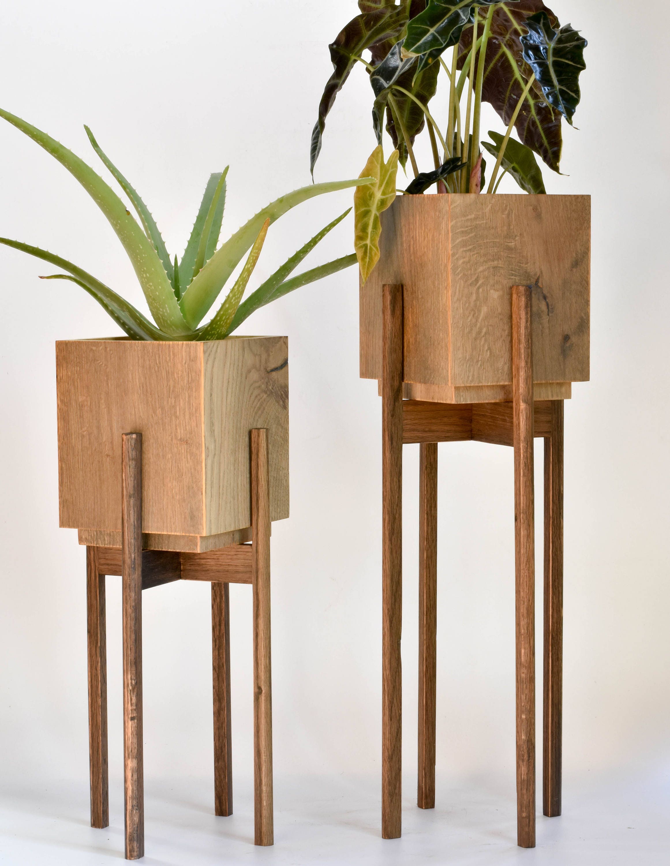 large plant stand indoor