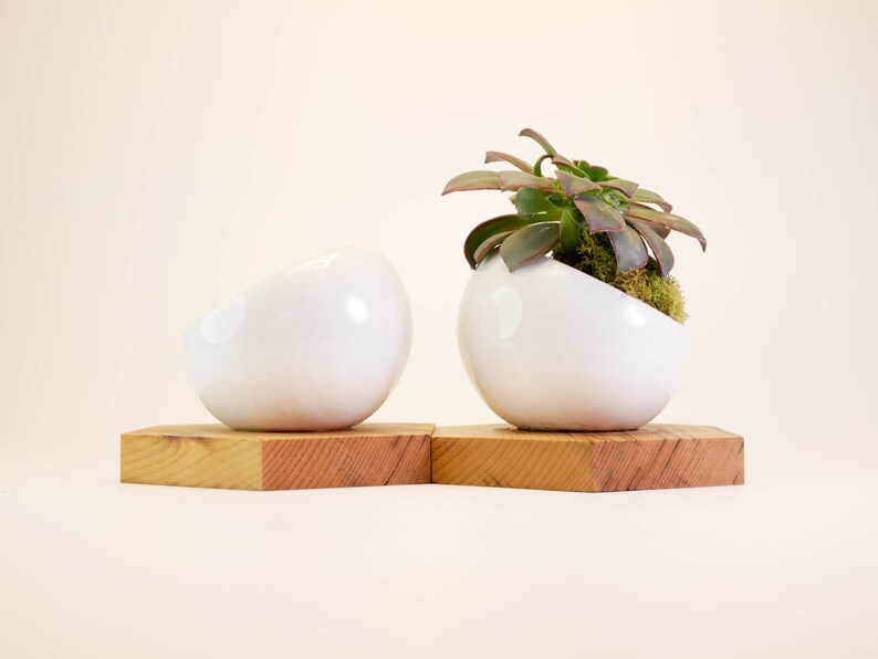 Wood Planter Indoor Planter Succulent Planter Reclaimed Wood Ceramic Planter Wood Home Decor Cactus Planter Rustic Planter