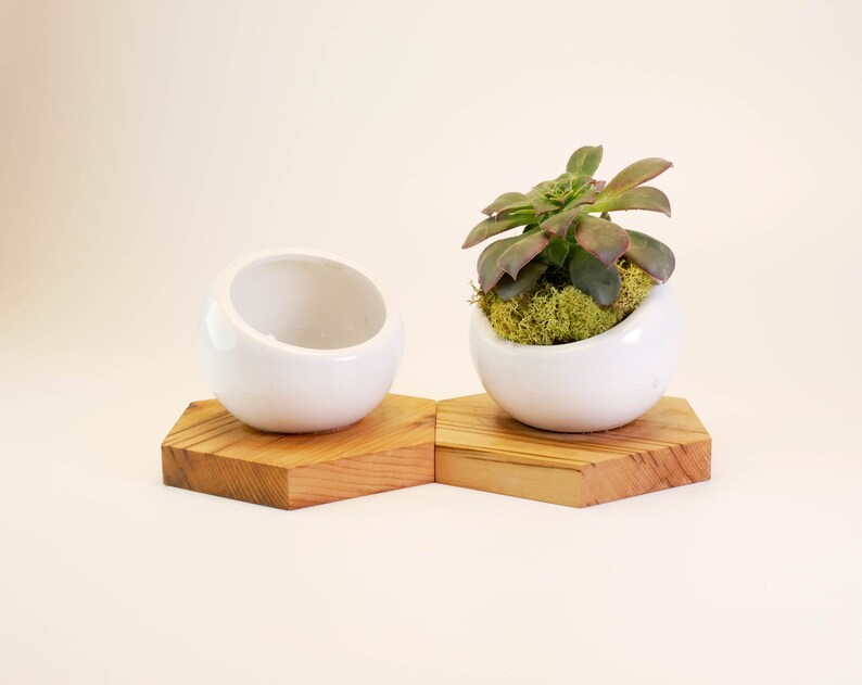 Wood Planter Indoor Planter Succulent Planter Reclaimed Wood Ceramic Planter Wood Home Decor Cactus Planter Rustic Planter
