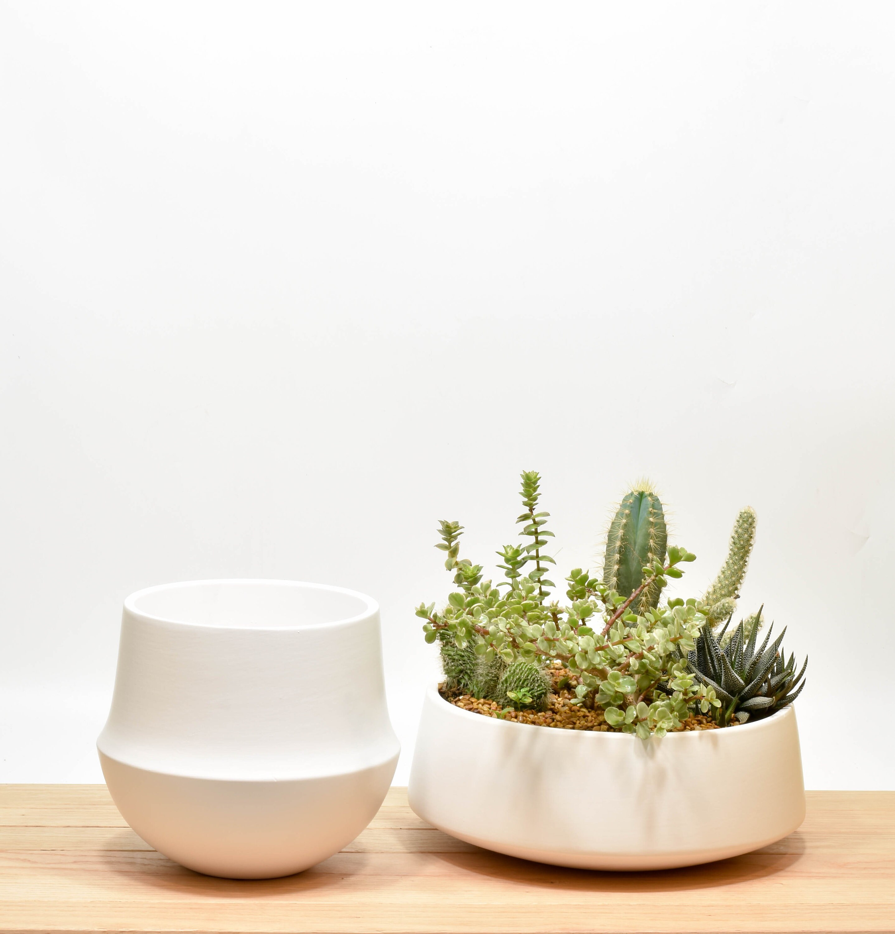 Succulent Planter Succulent Bowl Tabletop Succulent Planter | Etsy