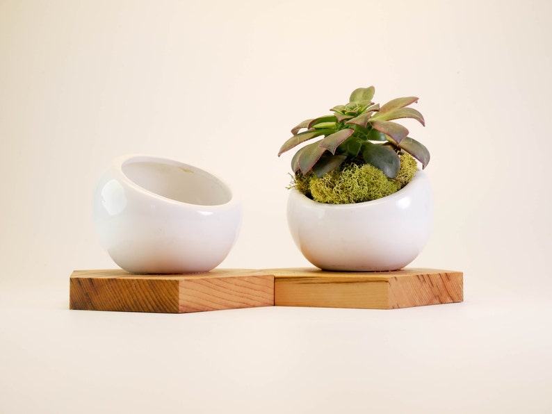 Wood Planter Indoor Planter Succulent Planter Reclaimed Wood Ceramic Planter Wood Home Decor Cactus Planter Rustic Planter