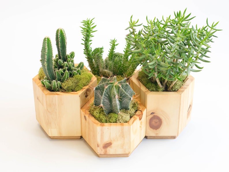 Geometric Wooden Planter Set Modern Planter Set for Succulent Modern Planter Pot Modern Planter Small Planter with Drainage