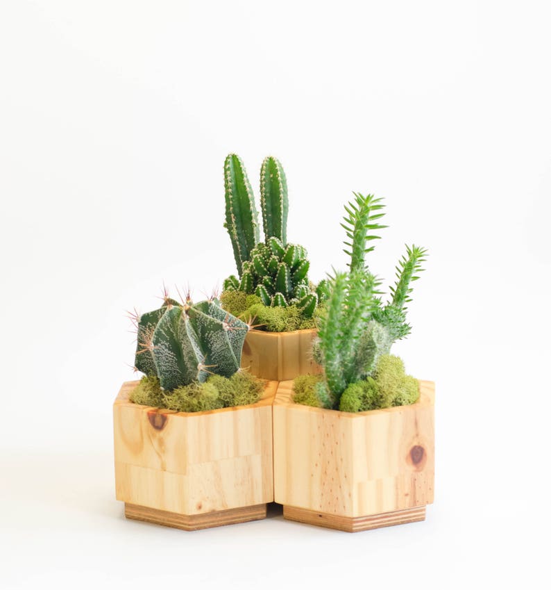 Geometric Wooden Planter Set Modern Planter Set for Succulent Modern Planter Pot Modern Planter Small Planter with Drainage