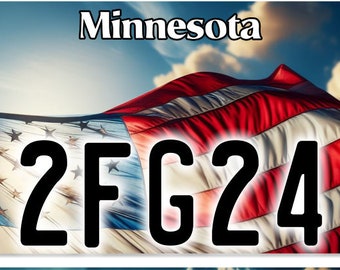 Puede incluir: Una placa de matrícula de Minnesota con el número 2FG24, con una bandera estadounidense ondeando en el fondo.