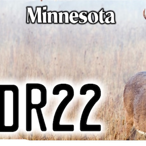 May include: A Minnesota license plate with the number 1DR22. The plate features a white-tailed deer with large antlers in a field of tall grass.