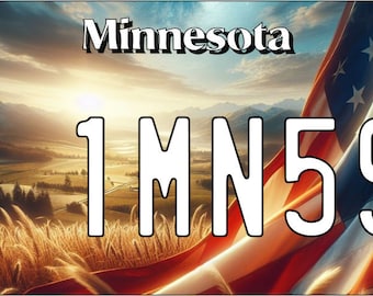 Puede incluir: Una placa de matrícula de Minnesota con el número "1MN59" sobre un fondo de paisaje escénico con una bandera estadounidense ondeando.