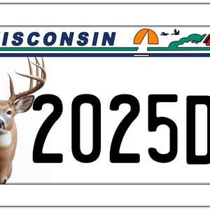 May include: A white Wisconsin license plate with a green, blue, and orange border. The plate features a white-tailed deer with large antlers and the text "WISCONSIN". The plate number is "2025DR".