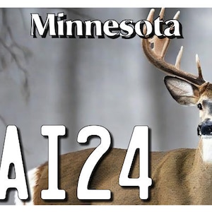 Minnesota 4IA24 ATV/UTV 4X7.50-Nummernschild
