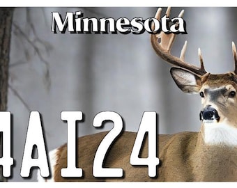 Targa per ATV/UTV Minnesota 4IA24 4X7.50