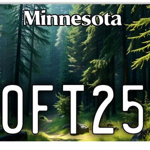 May include: A Minnesota license plate with a green forest background and the text "OFT25" in white.