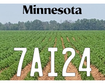 Puede incluir: Una placa de matrícula de Minnesota con el número 7A124. La placa está delante de un campo de cultivos verdes.