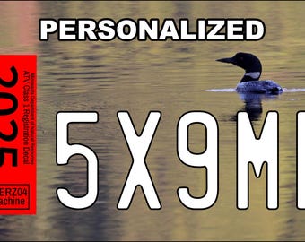 May include: A personalized license plate with the text "5X9MN" in white letters on a brown background. The plate also features a red sticker with the text "2025" and "Reg PERZ04 My Machine".