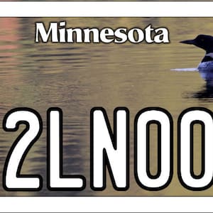 Minnesota ATV Plate, 4x7.50 Loon 2LN00