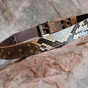 May include: A brown leather belt with a snakeskin pattern and brass accents. The belt has a buckle and is decorated with small brass studs.