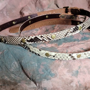 May include: Two leather belts with a snakeskin pattern and gold-toned metal accents. The belts are layered on top of each other.