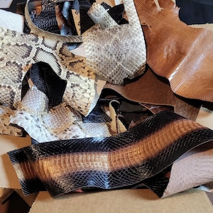 Exotic Leather Remnants Box: Python, Ostrich, Lizard, Alligator Crafting Supplies