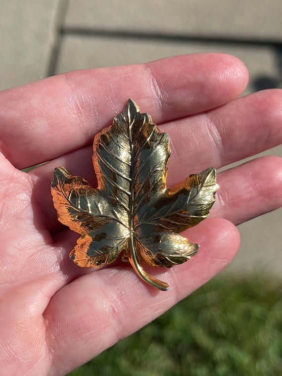 Maple Leaf Brooch Best Price in Jan 2024