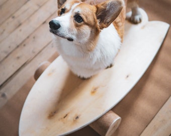 Kit de planche d'équilibre DIY personnalisable pour planche de surf - Créez votre force !