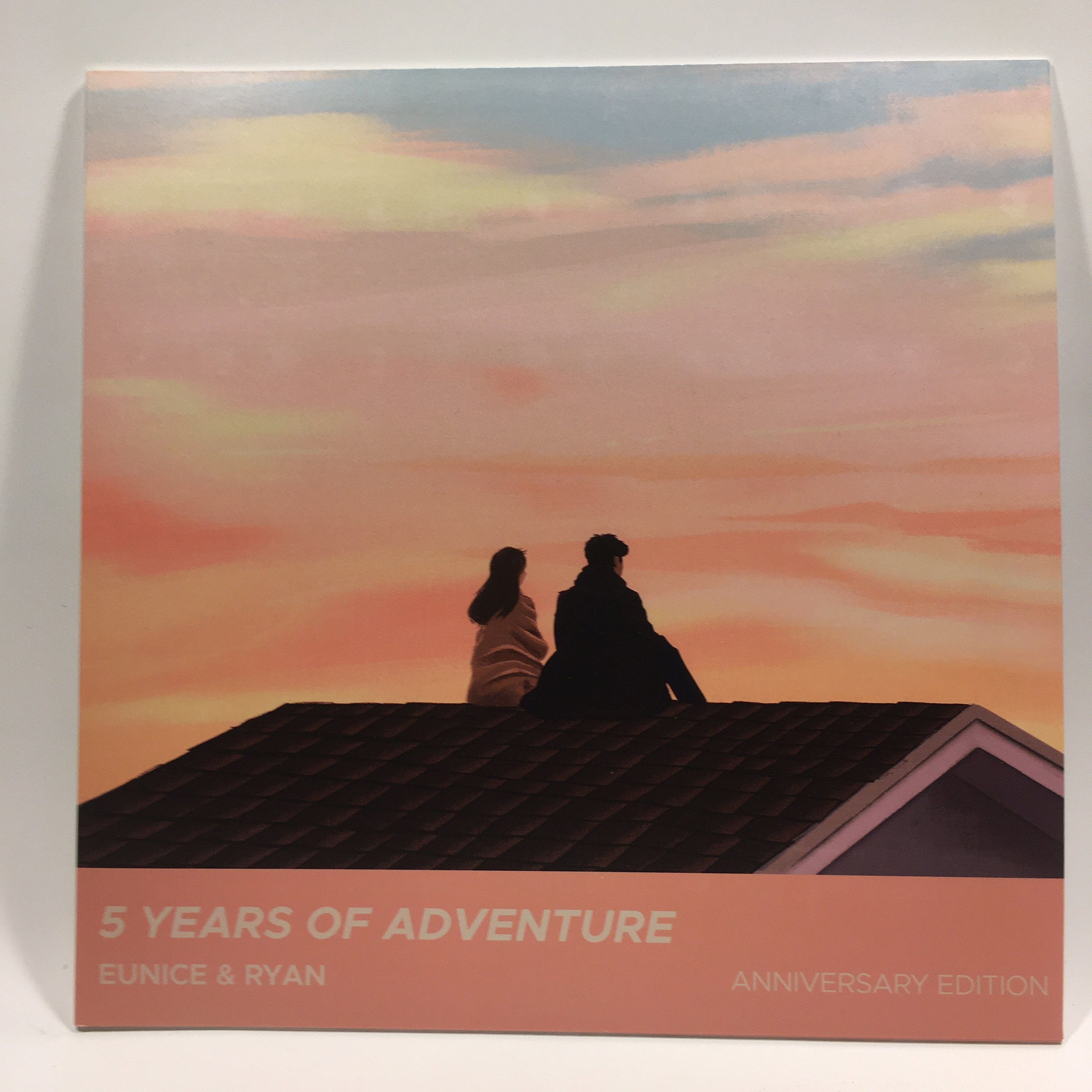 Custom Vinyl Record Jacket With Outer Sleeve Sturdy Industry Etsy