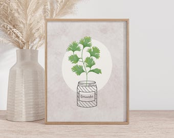 Herb print, herb wall art printable with coriander plant for kitchens, kitchen herb print, botanical printable, gifts for gardeners