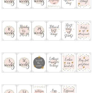 Cartes d'étapes de grossesse FIV ***fichier numérique***